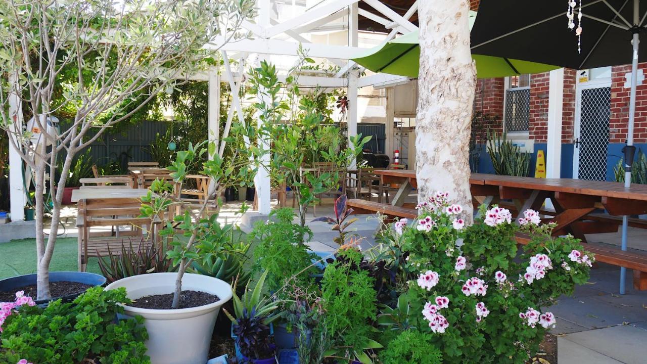 Geraldton Backpackers Hostel Εξωτερικό φωτογραφία